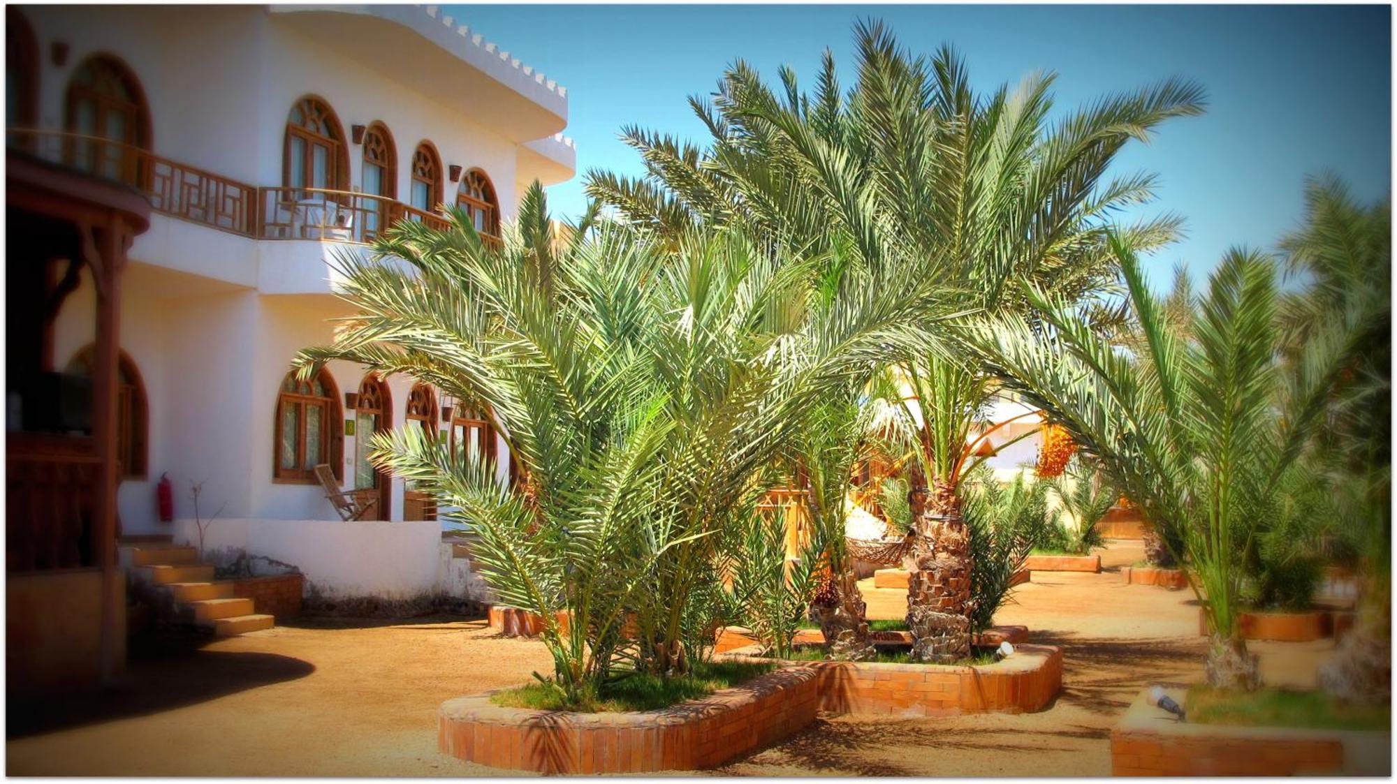Shams Hotel & Dive Centre Dahab Exterior foto